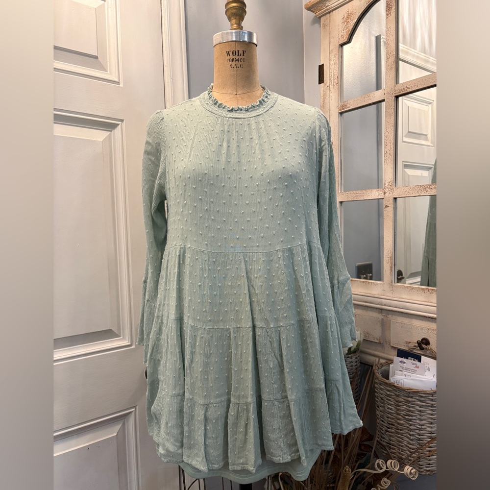 Light Green Textured Long Sleeve Dress Boho Chic Cabin Core Romantic Style SZ M